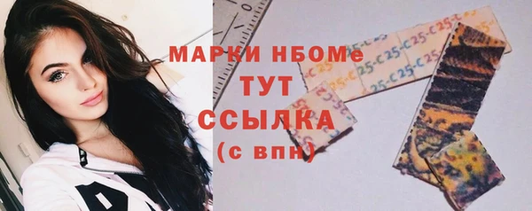 Альфа ПВП Горняк