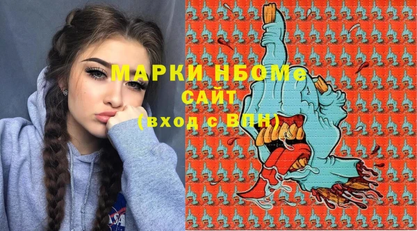 Альфа ПВП Горняк