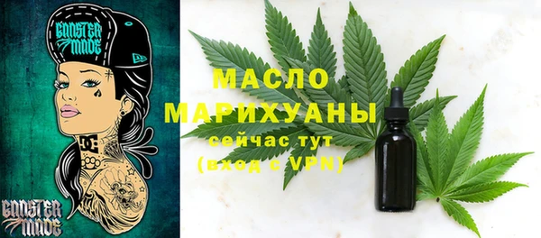 Альфа ПВП Горняк