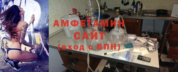 Альфа ПВП Горняк