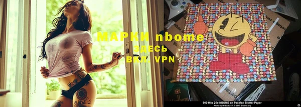 Альфа ПВП Горняк