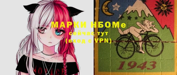 Альфа ПВП Горняк