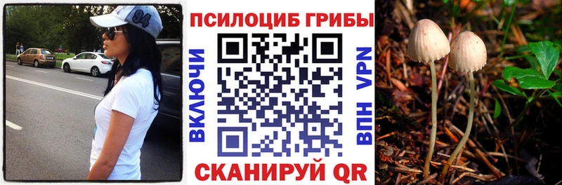 mega Пересвет даркнет клад Псилоцибиновые грибы GOLDEN TEACHER